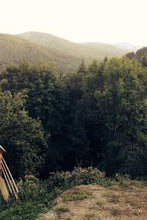 Load image into Gallery viewer, 200f8245563e24d1207ef7c9762504ae2220fdd1
