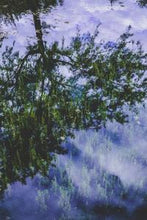 Load image into Gallery viewer, 60bf7388cc1bdb5d4bcb5a913f23137b106f0f90
