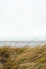 画像をギャラリービューアに読み込む, 332a1ae711b211dddc4ea38a5a08fc4a04e2751e
