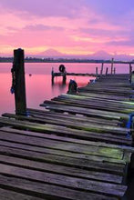 Load image into Gallery viewer, 88cfe53da522b0c9d14cf0b6434eaa25939b1860
