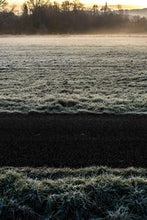 Load image into Gallery viewer, d851e9d0020f71a2833b4379b07fb449769941c8
