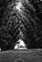 Load image into Gallery viewer, 39a92c796467b55a4a7ac82765b860d9aaabe4c6
