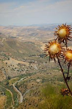 Load image into Gallery viewer, 73a14c4001981d59426745e38f3bec76c2af17f5
