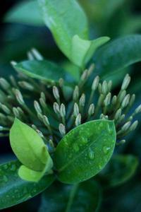 69d36677027946bc68d321ece69e97d9e3ecb90d