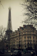 Load image into Gallery viewer, 4036fe0df87a4fb0ed6be80137aab5b8d8481fff
