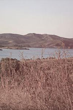 Load image into Gallery viewer, eb44c94902b0224c8486b1f988b805578d57570a
