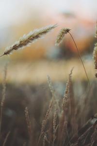 9021d4560c5cecaa7ebfa9cbad74366259a6305c