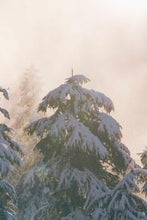 Load image into Gallery viewer, 05ab1d7f276ea64cf353dbb780151913f791f04f
