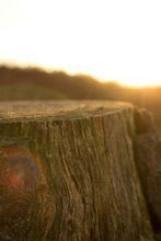 Load image into Gallery viewer, 031b358c4d83837c524074897b2a527f55074b1c
