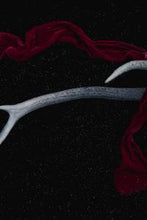 Load image into Gallery viewer, 558ec4f28170ebdcad9081e3baaeefd2ed20bcf2
