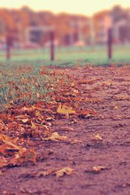 Load image into Gallery viewer, f1d17dd9ad9ae08d9bbe4a667861a5e9633af6cb
