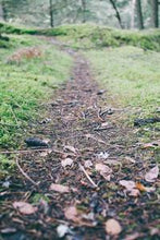 画像をギャラリービューアに読み込む, 06ff9ccad44a0427f1b6a88c8fd86ce6f83f83e2
