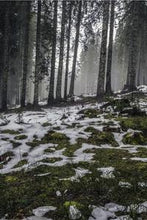 Load image into Gallery viewer, 9409fbd663cee2521118a4e2a5d38c157c790281
