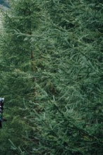 画像をギャラリービューアに読み込む, 4dfd633967b6b9f7d5d00c3a334c74515a1d22cb
