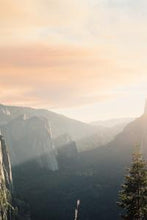 Load image into Gallery viewer, 4a1b9cafe8b42887d8e040f52b54c389f599d4a5
