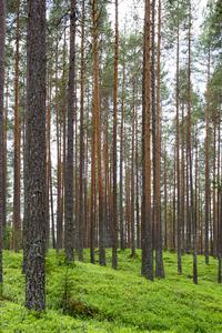 740c9f53fb333c09130862031f8592ce7385acdb