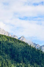 Load image into Gallery viewer, 91a110fcd93d472e22f611c5d05efa6d7694e20e
