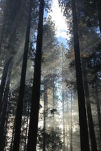 画像をギャラリービューアに読み込む, c11780cc8fce18ecf7ac7657b4da8268ad8739ee
