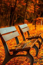 Load image into Gallery viewer, 375ae215a1ea43572fc7f6631c15d0320046a471
