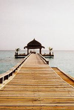 Load image into Gallery viewer, 74c753836dda855ebadc56fb6a28955abd06b4fb
