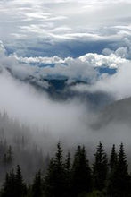 Load image into Gallery viewer, 7a347e9de0ecaf51ad51b873aa803db09bd6a812
