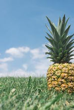 Load image into Gallery viewer, fd0132b5cdf12c94870c5df127b99bae0aa882c0
