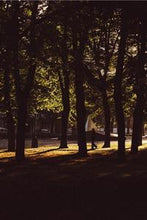 Load image into Gallery viewer, 347feeffc1d52c3aff8f451e23c0795bba0ac90d
