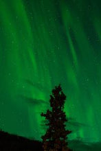 Load image into Gallery viewer, 245582c4a083e9a8b4c834c58403863601596837
