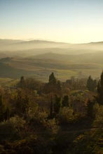 Load image into Gallery viewer, 6d1eb7760a13b046bd5f433554486077983cb4ad
