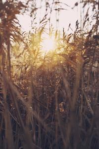 645aa2fb36f52c259da8671289514e7de087eec6