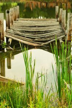 Load image into Gallery viewer, c9115e49d0048235c9d22c1f2809f2d748624ea5
