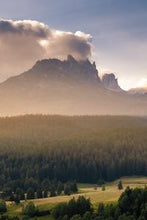 Load image into Gallery viewer, afcc38b042b5f0ba848c00fe628d95dc7621f507
