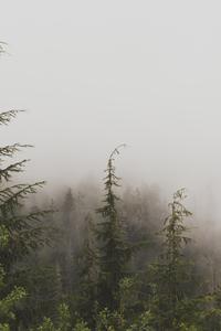 6c6a83fe29fcc0db954063023198476f538fec6d