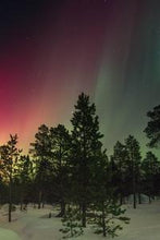 Load image into Gallery viewer, 8c051886703b7281012647c7dfe7223dcc7505c0
