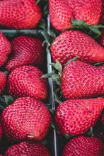 Load image into Gallery viewer, cb06b2ef4e72284a4595efb4f263de116338b3fd
