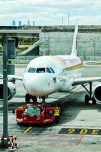 Load image into Gallery viewer, 6bae5c3d2e76d8cee065fea03567ff819a868eab
