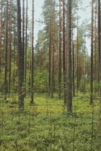 Load image into Gallery viewer, d38b620512482bf342bf59d304b3599ca6fdc529
