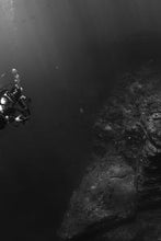 Load image into Gallery viewer, 8141de02dd027022c486df2c41f90fb148203422
