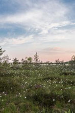 Load image into Gallery viewer, cfd9027e690207c704454d1ec063fac8c49ded78
