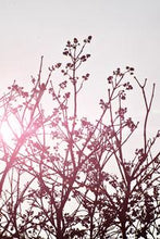 Load image into Gallery viewer, 04b080b7fdfb2b0f25e9766e6d5b99420575c959
