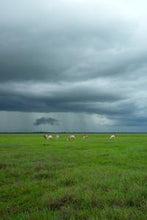 画像をギャラリービューアに読み込む, e71be1f76f1f51d8d9a5417e5ca73adb13d78161
