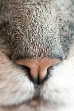 Load image into Gallery viewer, 335265c6f12da0e3a6777b4956866078be5ad90c
