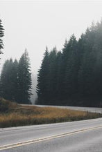 Load image into Gallery viewer, 87c71cdcee30d91a925e483eeed03903c1da79f1
