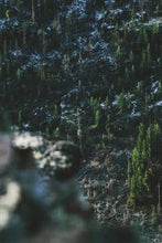 Load image into Gallery viewer, efd661ae4b596a39f1543bb8a3d82d4644c856cc
