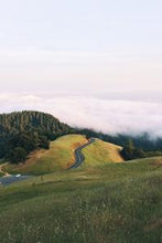 Load image into Gallery viewer, d615bcbf2bc8a995c4563b9d37c63df0af4b8e3c
