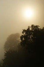 Load image into Gallery viewer, d4497dfc0f5f62e8ca108d05d24e6ed4c181a873

