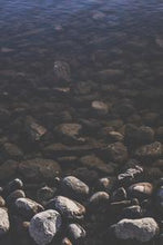 Load image into Gallery viewer, 53dcd7181c76da209a09bd079cfce22a40e8f0be

