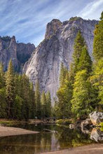 Load image into Gallery viewer, c731da95a8542c9324b8984884726f123ebf3146
