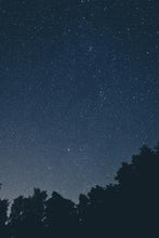 Load image into Gallery viewer, ce90d2f2333afc008f0ff6d487b663c5430a1146
