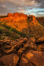 Load image into Gallery viewer, 0b2d70ee9d66bdd0b1d03ea598e5ec32a756664f
